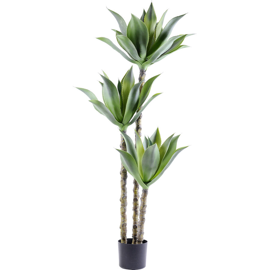 Coop Kunstpflanze Plant