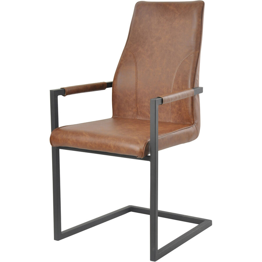 Freischwinger 2er-Set Ferb