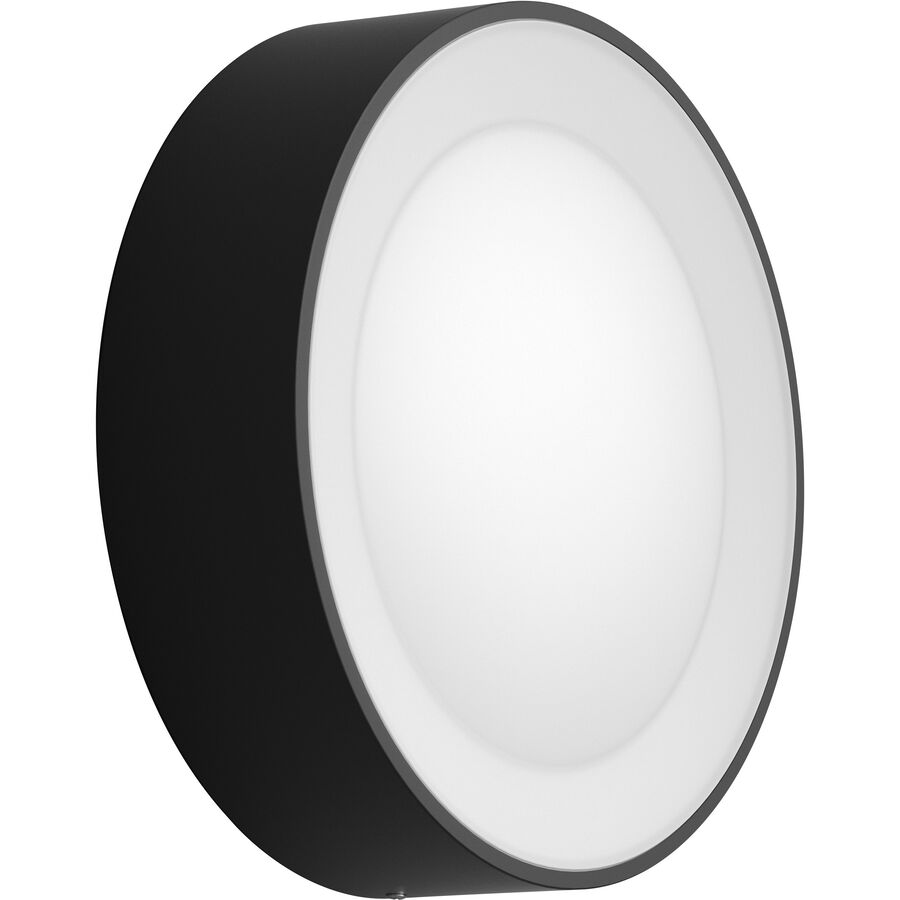 Philips Hue Philips Hue Aussenleuchte Daylo Schwarz 15 W