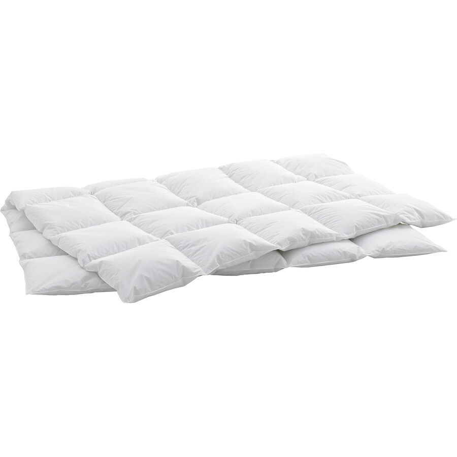 Duvet Tayler Weiss Baumwolle 160 cm Daunen