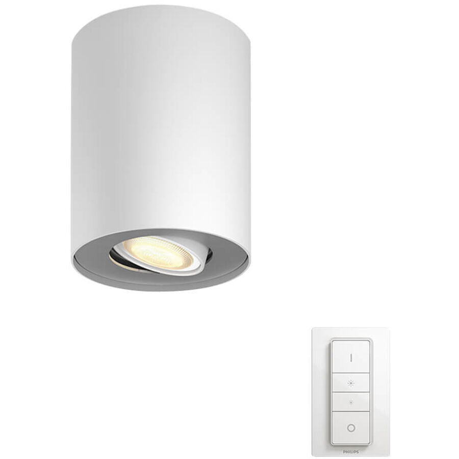 Philips Hue Spot Hue