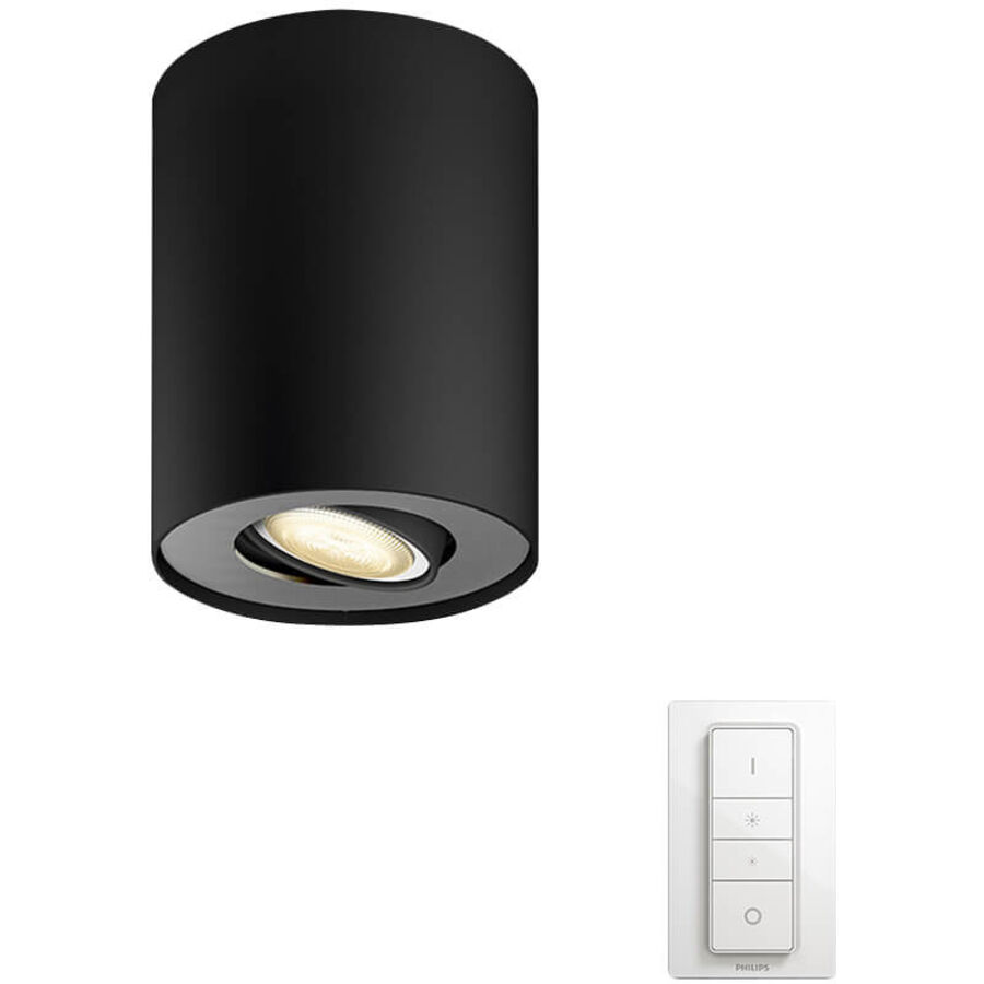 Philips Hue Spot Hue