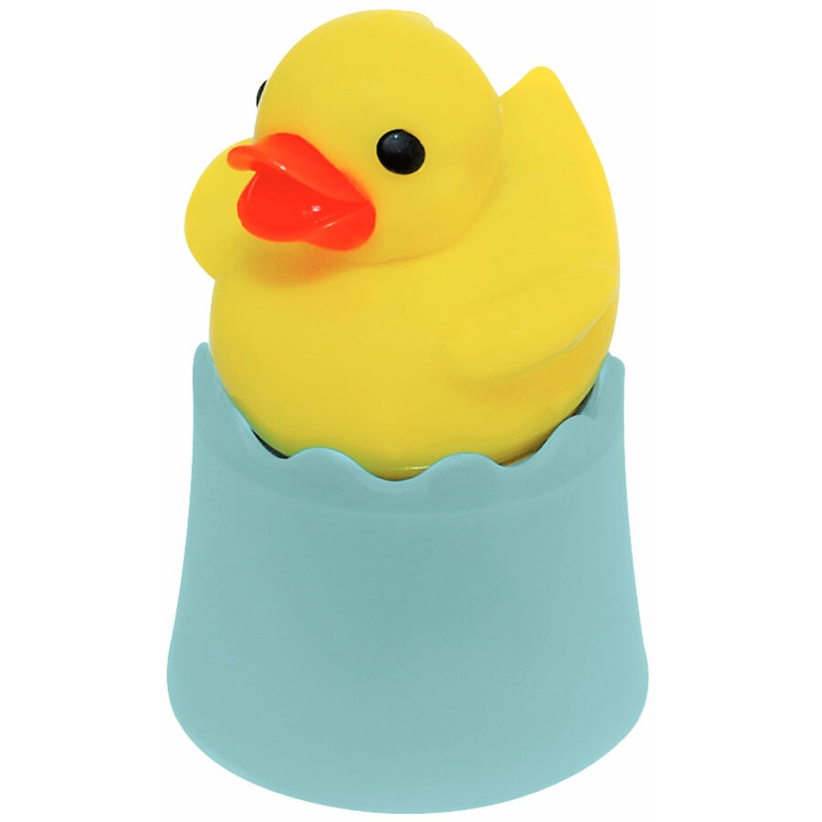 Lagotto Teesieb Maison