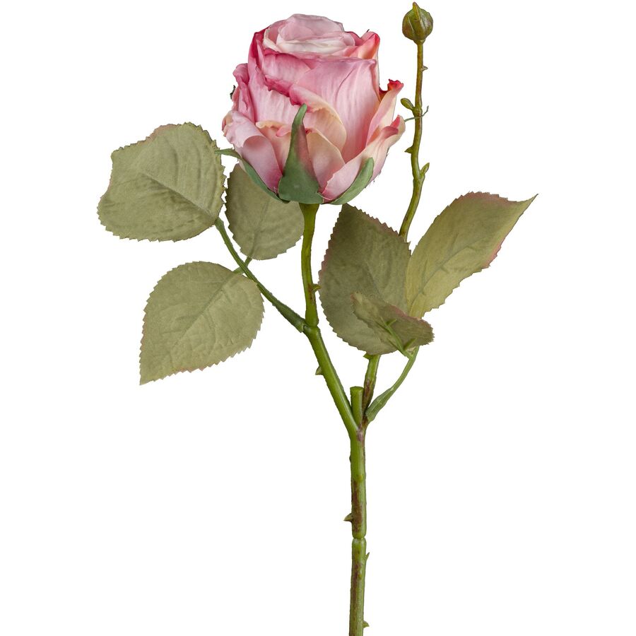 Fleur artificielle Natural Rose Plastique 54 cm - Fleur artificielle