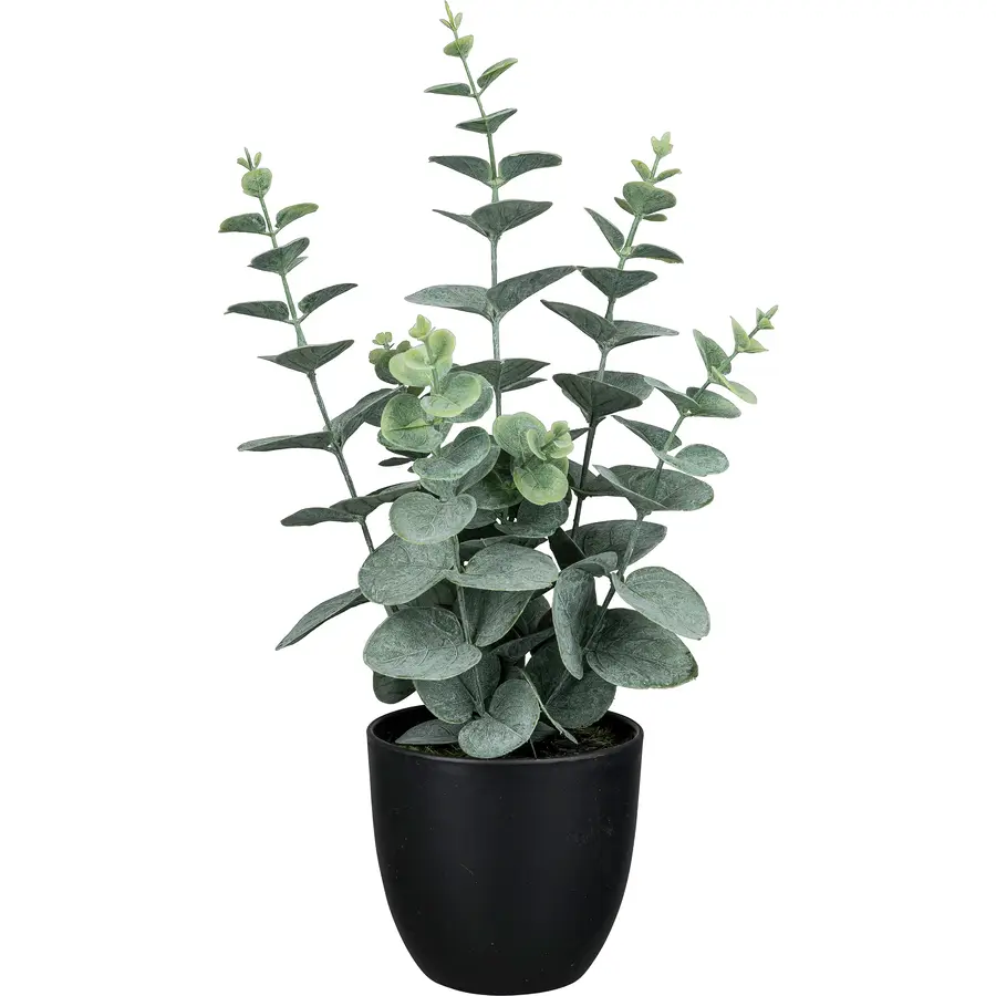 Kunstpflanze Eukalyptus