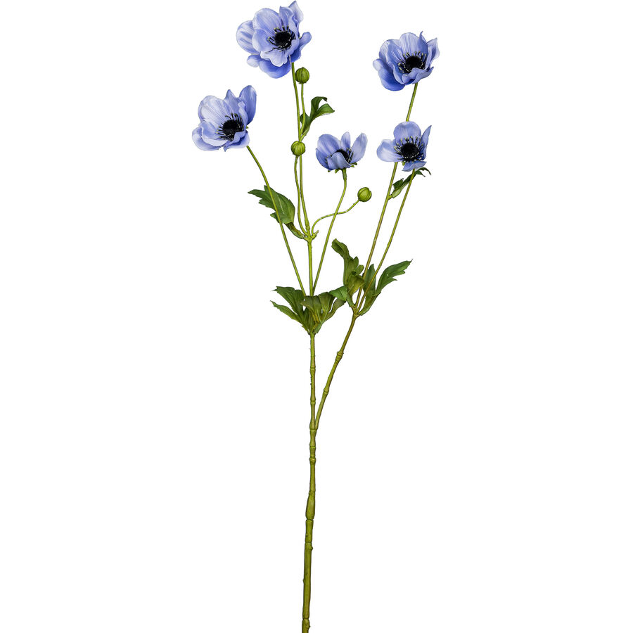 Kunstblume Modern Bohemian