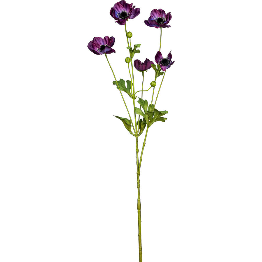 Kunstblume Modern Bohemian