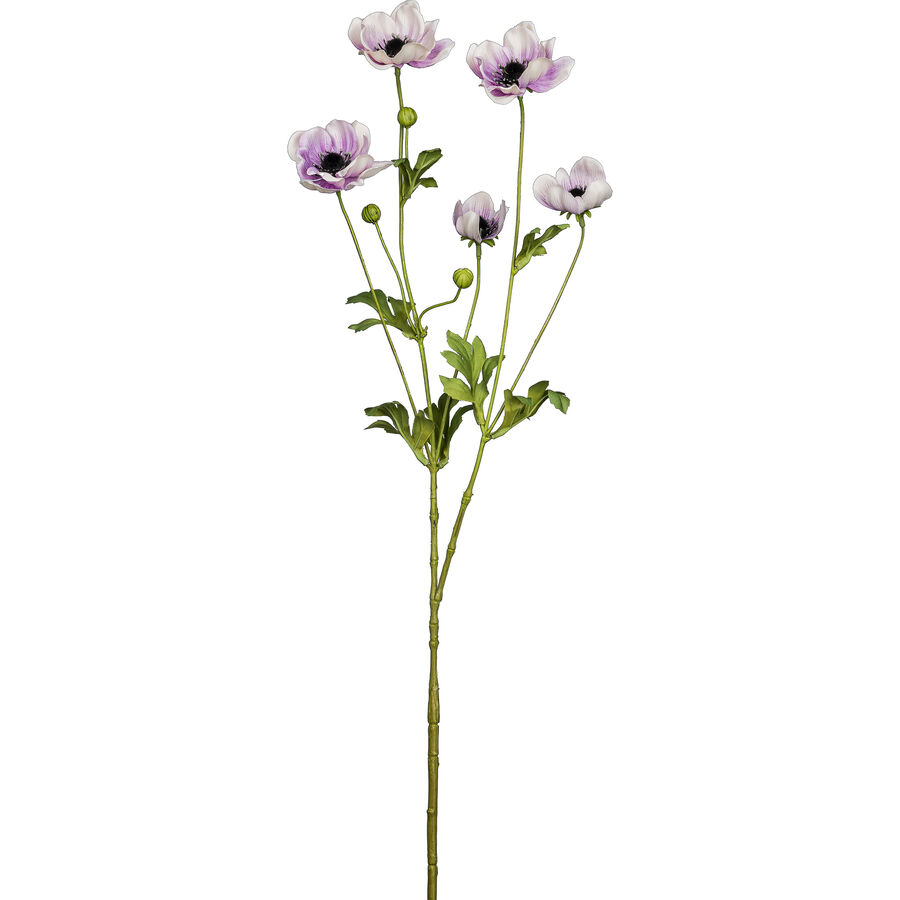 Kunstblume Modern Bohemian