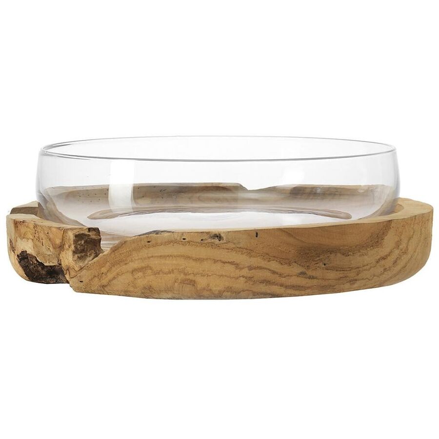 Leonardo Schale Leonardo