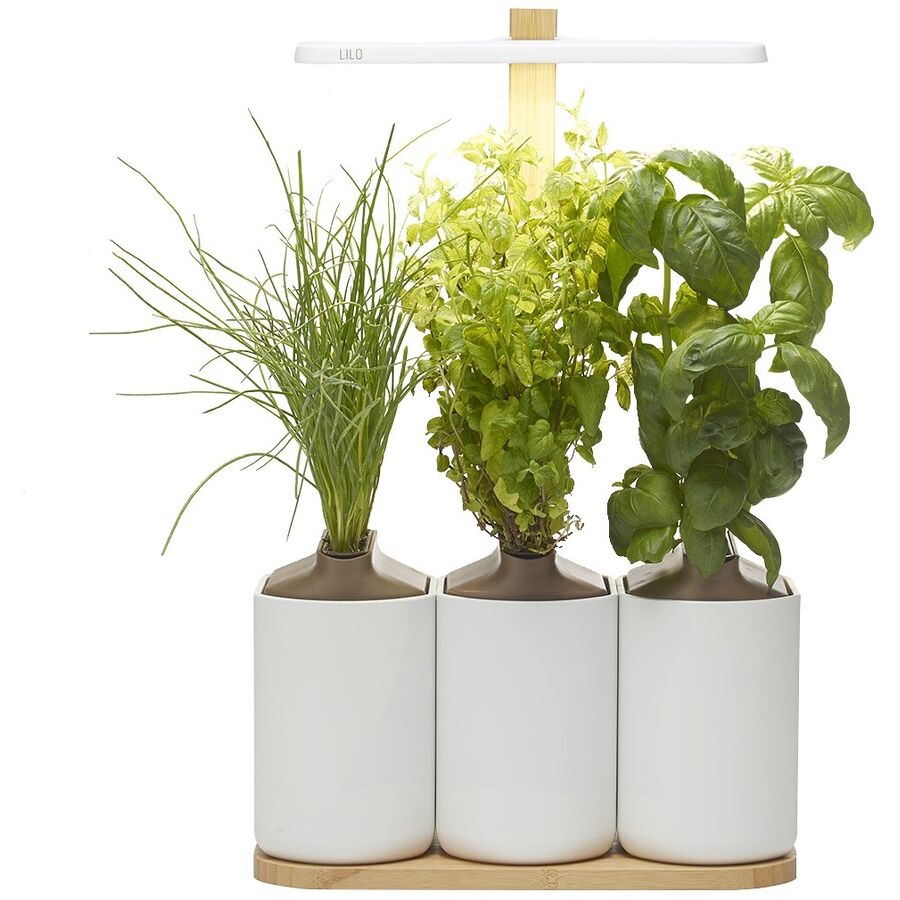 Prêt à Pousser Blumentopf Prêt à Pousser