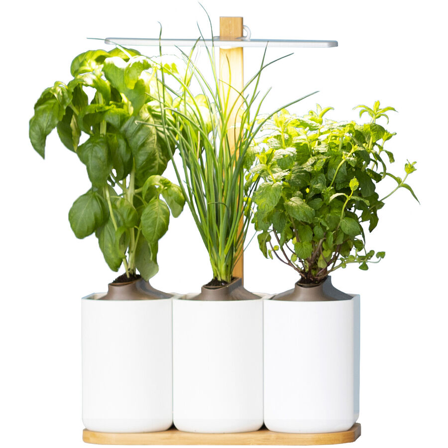 Prêt à Pousser Blumentopf Prêt à Pousser