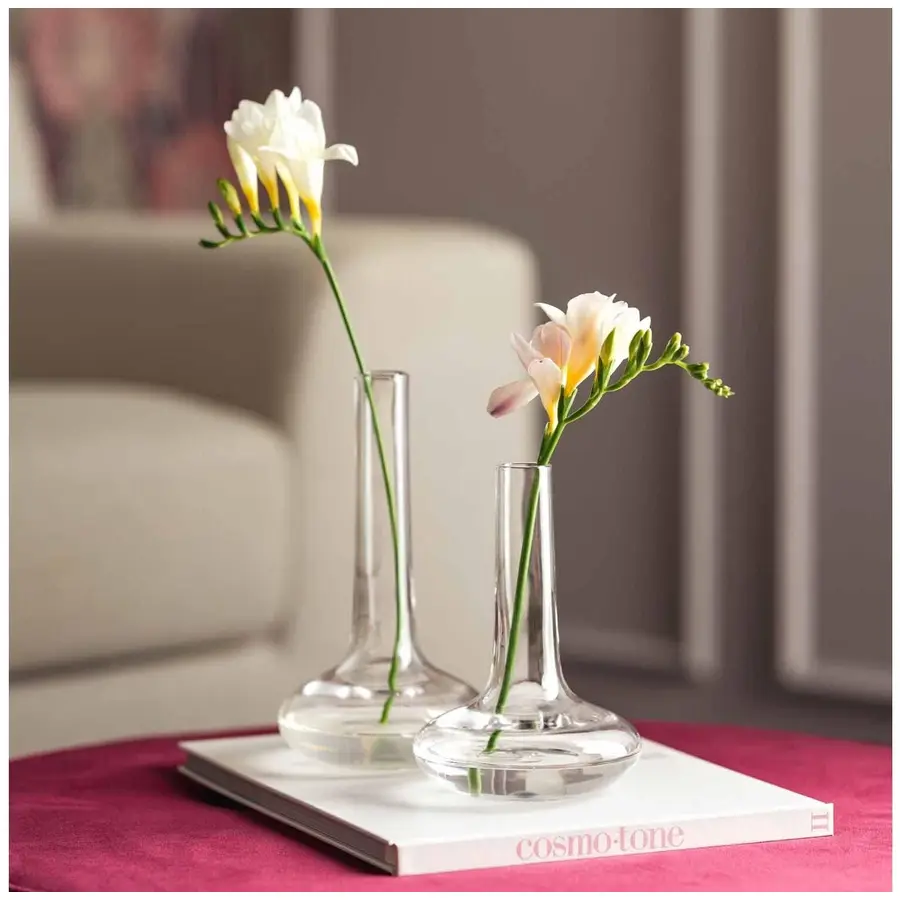 Vase Leonardo Transparent Kalk-Natron-Glas D 10 H 21 cm