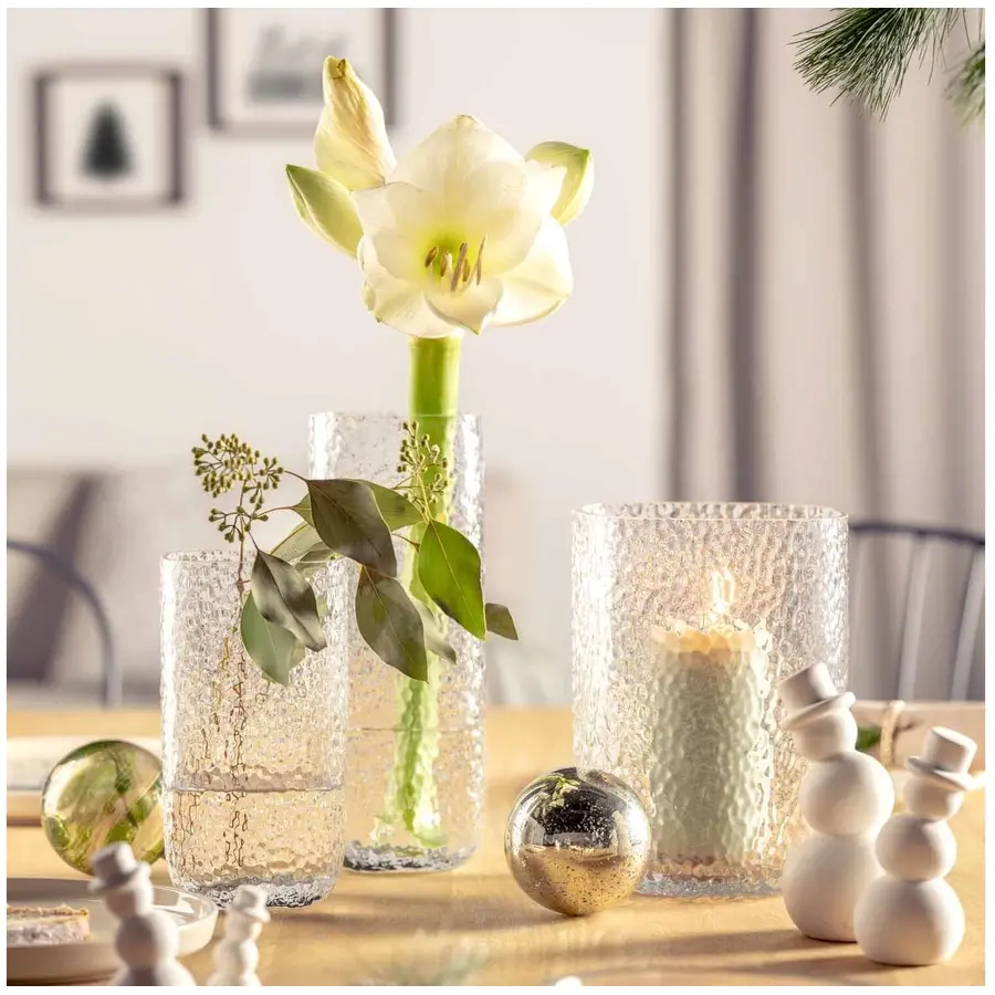 Vase Leonardo Transparent Glas D 8 cm H 26.5 cm
