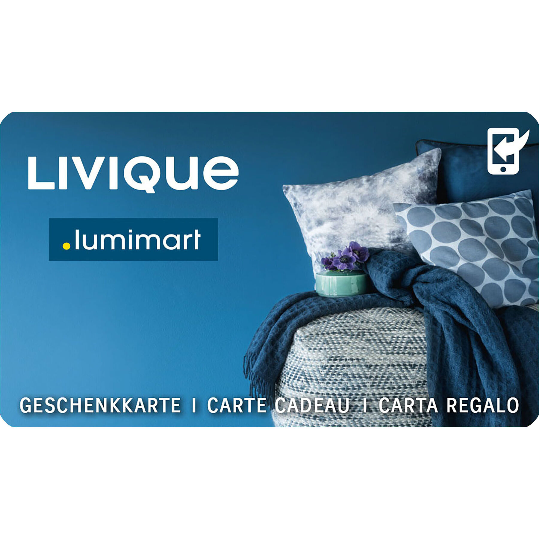 Carte-cadeau (variable) - Couleur: divers - Matérial: Plastique